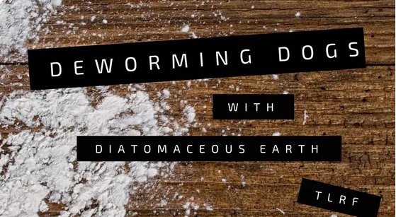 DiatomaceousCan's tweet photo. Dogs and cats get into all sorts of icky stuff outdoors. Thankfully, Diatomaceous Earth can help with what may passed along!   https://t.co/po8UhvrM0u #Parasites #Health #PetLife https://t.co/94yf3ysEvb