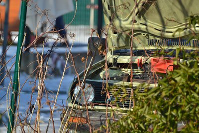 Photo By Szűcs László | Unsplash - via <a href="/Crowdfire/">Crowdfire - Daily News & Insights</a>  
 #nonprofits