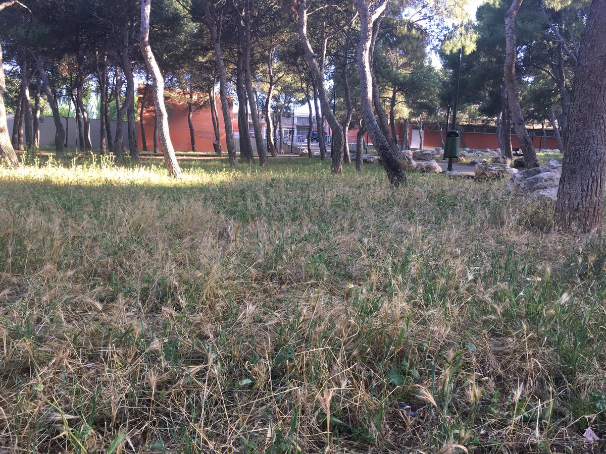 raquelvbb's tweet photo. Dejadez y falta de mantenimiento constante. “Parque” centro deportivo de Torrero @ZGZDenuncia #formulaPop @zaragoza_es @avvenecia https://t.co/W8ECSYaQL6