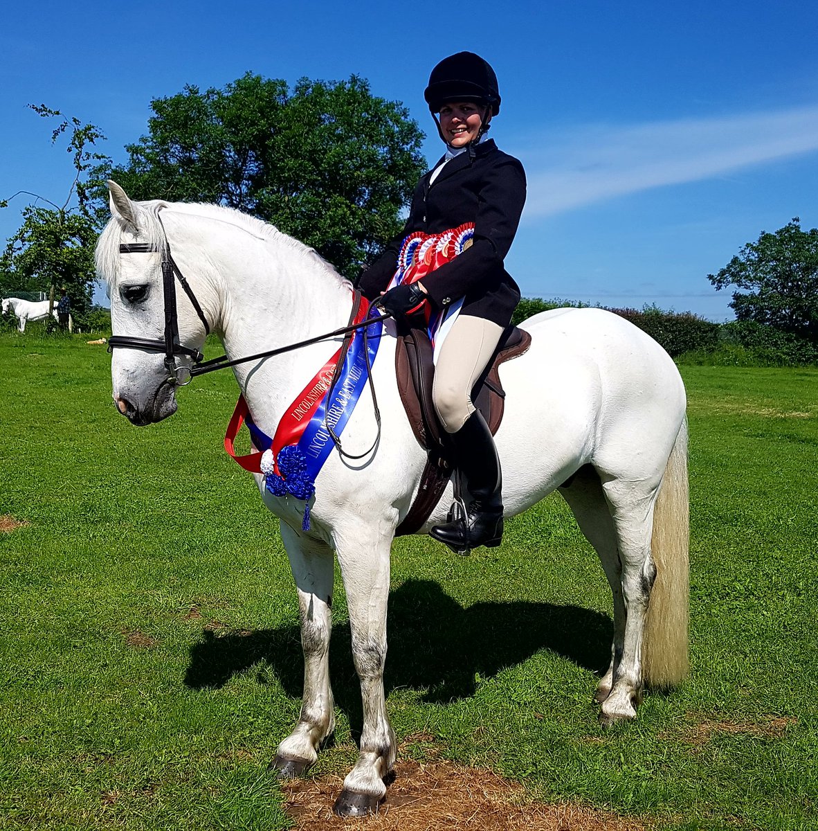 patching_jane's tweet image. Fabulous day at the East Midlands and Lincolnshire Connemara Show.....WHP Champion and Overall Partbred/Overheight Reserve Champion #equineathletes #riderfix #connemara
