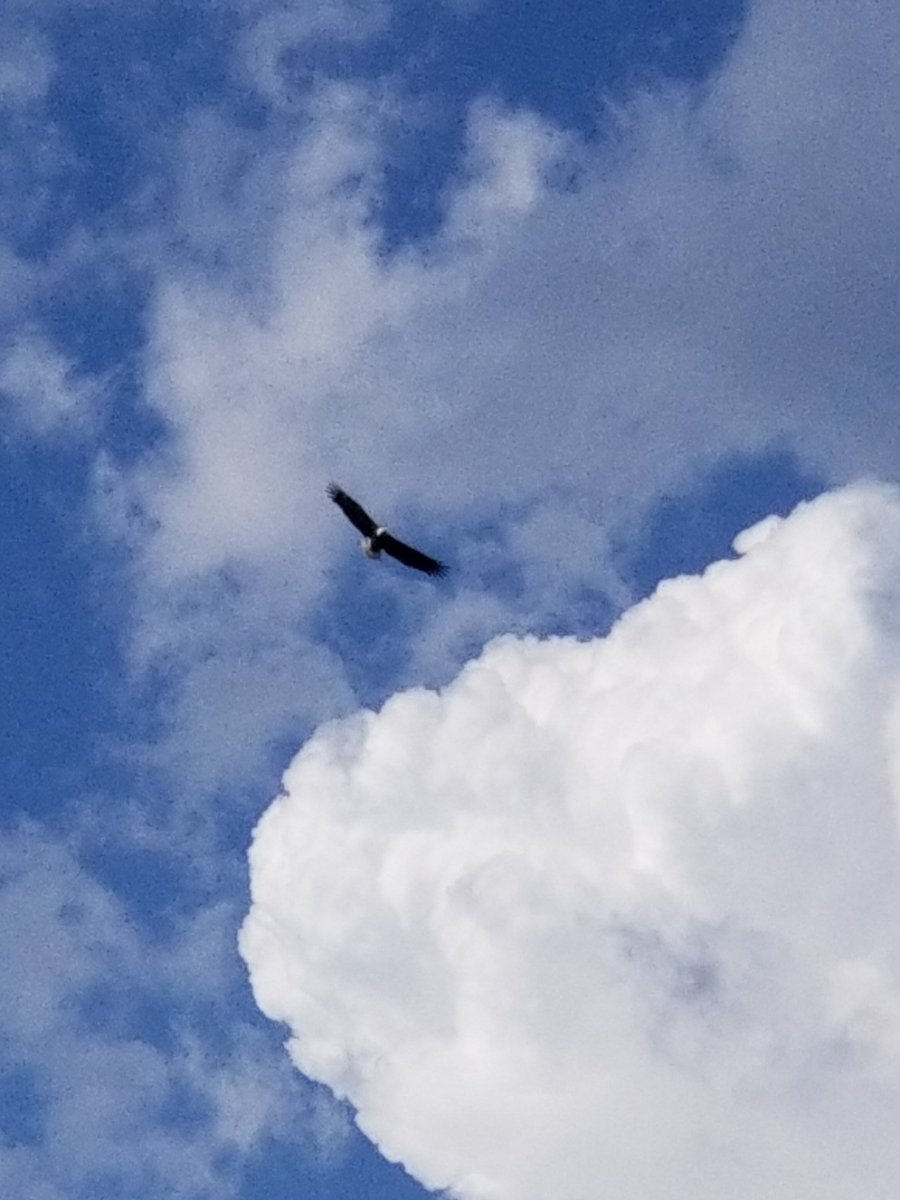 kSimonSays2's tweet photo. We're akin #AllDivine,
a band of #Circular #Brothers 
stuck in #lineartime.
#Celestialbeings #beingtested
so the #best in us can #manifest
from #sticksandstones
to #SpiritandBones.
From the #void of the #womb
to the #All of the #fire;
riding #love's #wings
learning to #flyhigher. https://t.co/s78rHPMWYJ