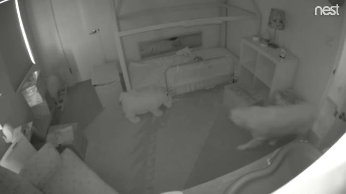 Gratitude DNA tweet media