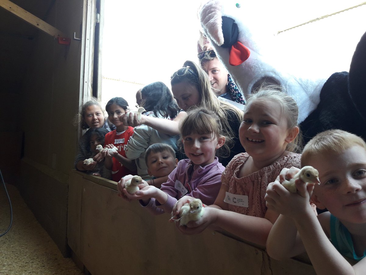AppledoreTurkey's tweet photo. This photo sums up Open Farm Sunday - #happy kids holding baby turkeys.
Apologies for Terry the Turkey in the background! https://t.co/qZ3BqNwRhv
