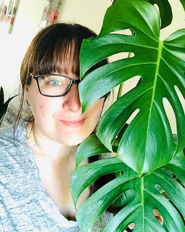 when your plant leaves are bigger than your face 😍😅
..
..
#cheerstohouseplants #monstera #swisscheeseplant #happyhouseplant #hello #plantselfie #selfie #houseplants #giantleaves ift.tt/2JMNjrv