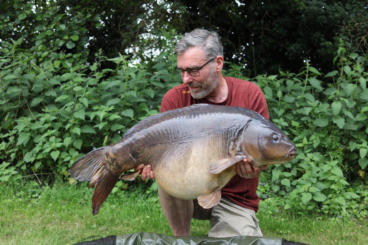 MarkwuzyMark's tweet photo. This is my new PB at 46lb 8oz from Horton church lake and I caught it off the top as well on a 8lb hook length 👀 scary stuff I can tell you #wychwoodcarp #ccmoore #gardnertackle https://t.co/VIpCBsKD9V