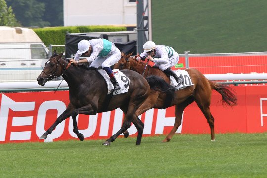 BBAG_Sales's tweet photo. @BBAG_Sales gratuade DALLAS AFFAIR (F4) by SOLDIER HOLLOW wins at @paris_longchamp Groupe 3 Race "La Coupe"
Congrats to #FHEAD #GEORGESTRAWBRIDGE #GestütHausIttlingen @helmutvonfinck Fotos @AprhChantilly https://t.co/gh2Sjka5PS
