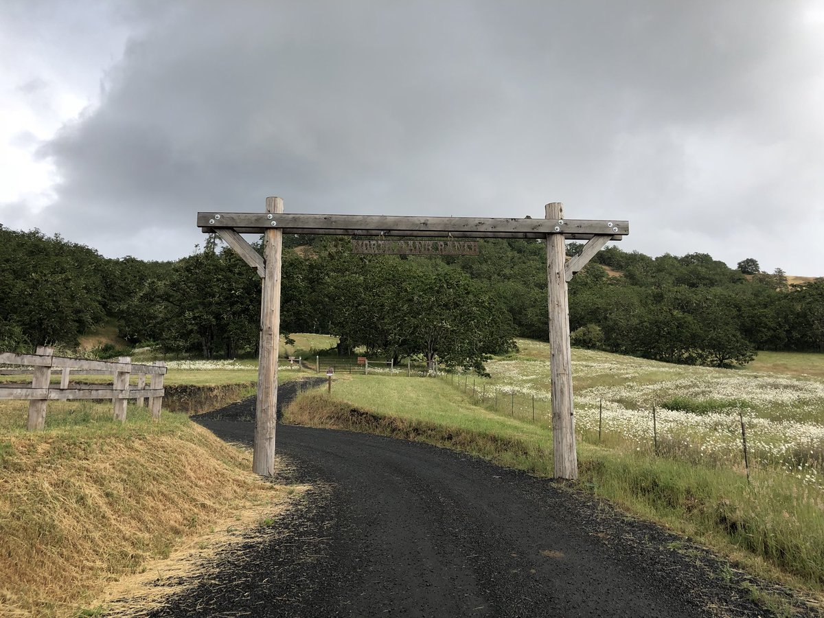 MapesAaron's tweet photo. North Bank Wildlife Habitat 🌲 https://t.co/66nGmNTQbq