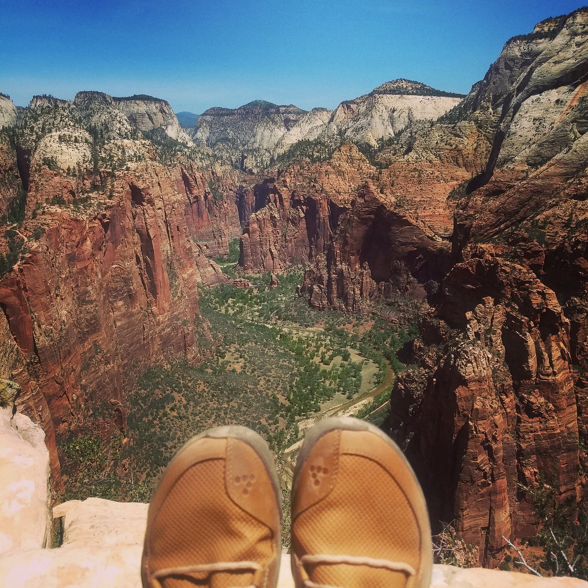 podgib's tweet photo. Exploring Zion in my @VIVOBAREFOOT Primus Treks https://t.co/ddF7x9eXdw
