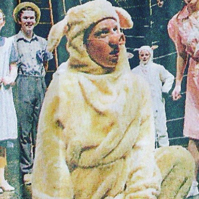 _armacpherson's tweet photo. #tonydreaming #tanty #wilbur #🐽 https://t.co/FilJgGeRTe