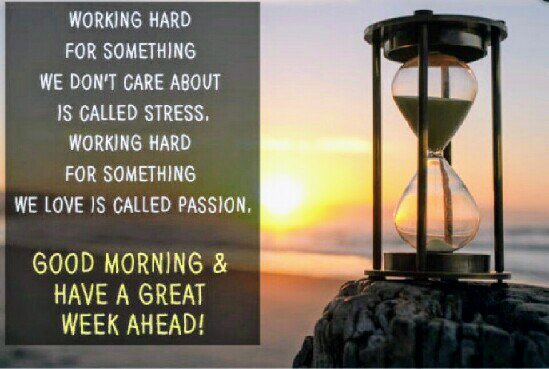 julushah's tweet image. #ModiAtSCOSummit #MondayBlues #LoveItTrimIt @DebashishHiTs @M108P @NiranjanTripa16 @DurgaMenon