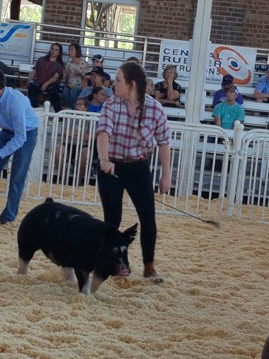 BPA Junior Pig Club tweet media
