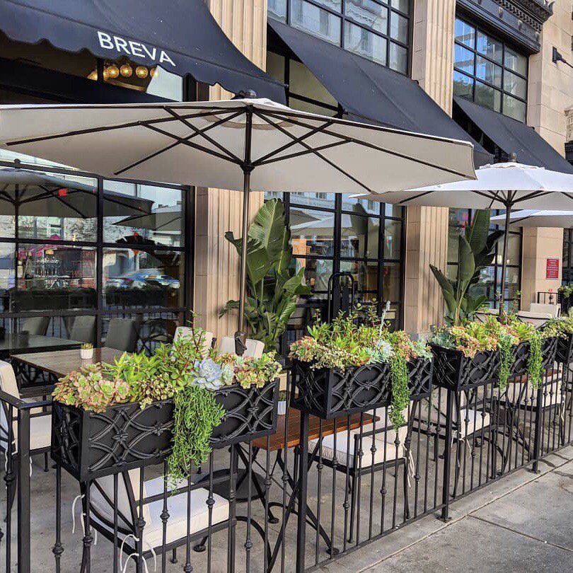 brevadtla's tweet photo. Patio dining now available @BrevaDTLA. #BrevaDTLA #HotelFigueroa

Photo by @hermaninla https://t.co/kWnebTe8Pt
