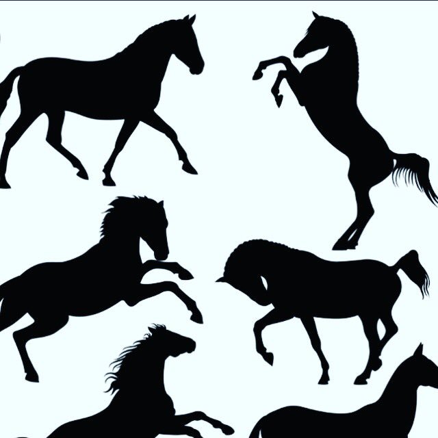 ComedianConn's tweet photo. You know someone hasn’t a clue when they go on about a bunch of dark horses winning the World Cup... It’s played by humans you morans. #soccer https://t.co/JKhq1GeUhV