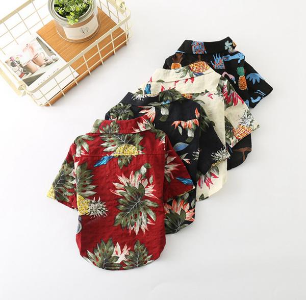 custom_frenchie's tweet photo. Frenchie Hawaiian Shirt!
Available in 4 designs and a wide range of sizes <3
Click the link below:
https://t.co/ypr1fpWFoE
#frenchbulldog #frenchie #customfrenchie https://t.co/8VzFyL7V6n