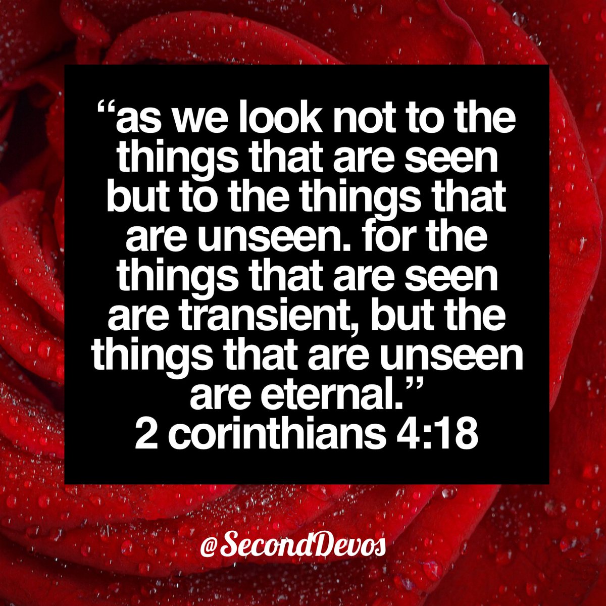 SecondDevos's tweet image. Spend less time focusing on the things of this world and more time focusing on an eternity with Jesus. #SecondDevos
