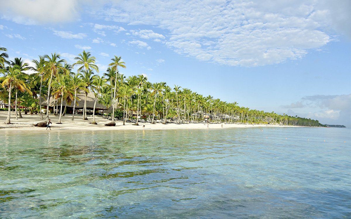 BarceloBavaroGR's tweet image. Start the month of June in this paradise. 🌴✈ 
#BarceloExperience