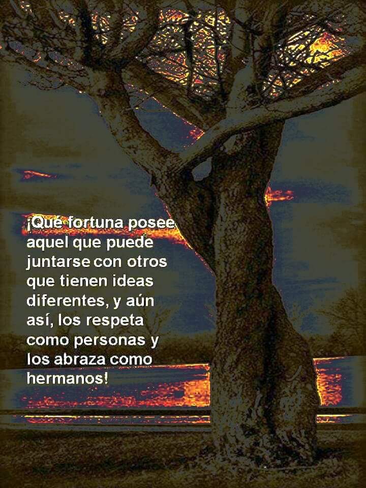 Proyecto Dominó (@proyectodomino1) on Twitter photo 