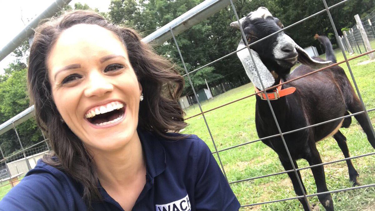 nataliegparsons's tweet photo. Hanging out in #SwanseaSC for #NationalGoatAwarenessWeek at #FireBarrelFarm! You know me and making some NEW #furryfriends... π€ https://t.co/YnXtyOKxsX