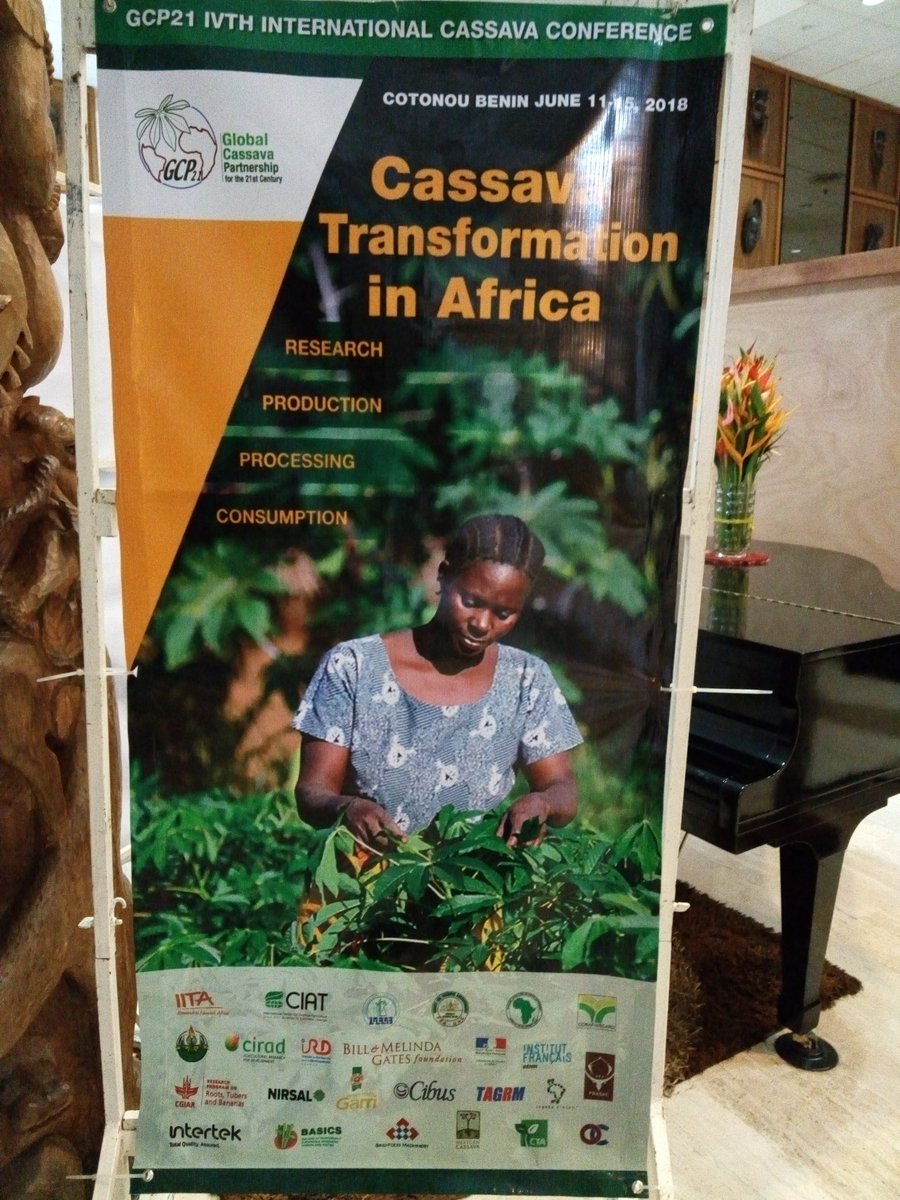 ypard_rdc's tweet photo. Près de #500 délégués issus du monde scientifique et praticiens sont attendus à #Cotonou au #Bénin, du 11-15 mai 2018 pour parler de " la transformation du manioc en Afrique " avec #Afbd #CGIAR_IITA, #Harvest_Plus, #CTA, #CIAT, #CIRAD #Beninconference2018, #GCP21BENIN2018 #GCP21 https://t.co/L7ZsQ8C4MT