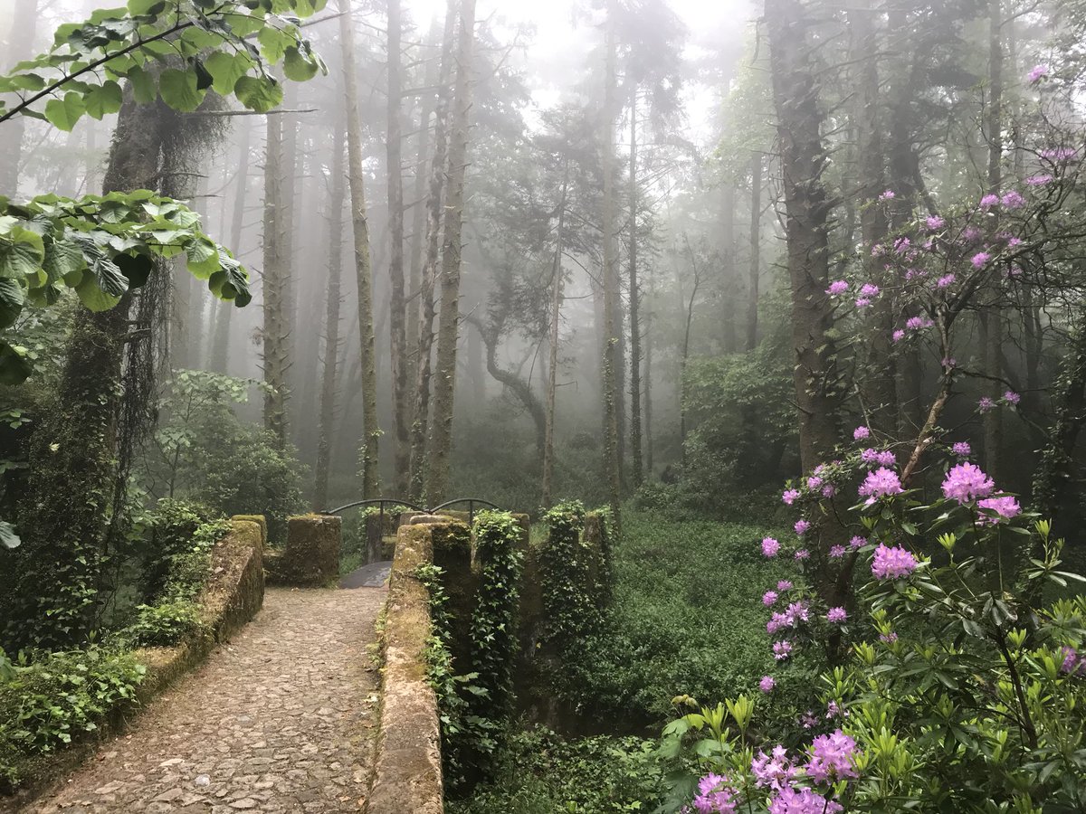 Payton Murphy tweet media