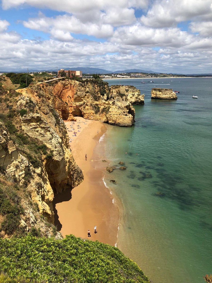 Payton Murphy tweet media