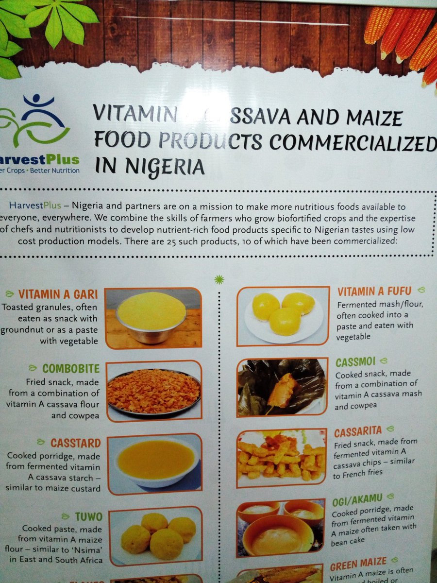 AimKazika's tweet photo. Près de #500 délégués sont attendus à #Cotonou au #Bénin, du 11-15 mai 2018 pour parler de " la transformation du manioc en Afrique " avec #Afbd #CGIAR_IITA, #Harvest_Plus, #CTA, #CIAT, #CIRAD #Beninconference2018, #GCP21BENIN2018 #GCP21 @ypard_rdc @ghislainmbesse @bondongam https://t.co/5fuITK9sX4