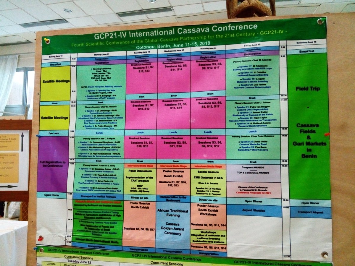 AimKazika's tweet photo. Près de #500 délégués sont attendus à #Cotonou au #Bénin, du 11-15 mai 2018 pour parler de " la transformation du manioc en Afrique " avec #Afbd #CGIAR_IITA, #Harvest_Plus, #CTA, #CIAT, #CIRAD #Beninconference2018, #GCP21BENIN2018 #GCP21 @ypard_rdc @ghislainmbesse @bondongam https://t.co/5fuITK9sX4