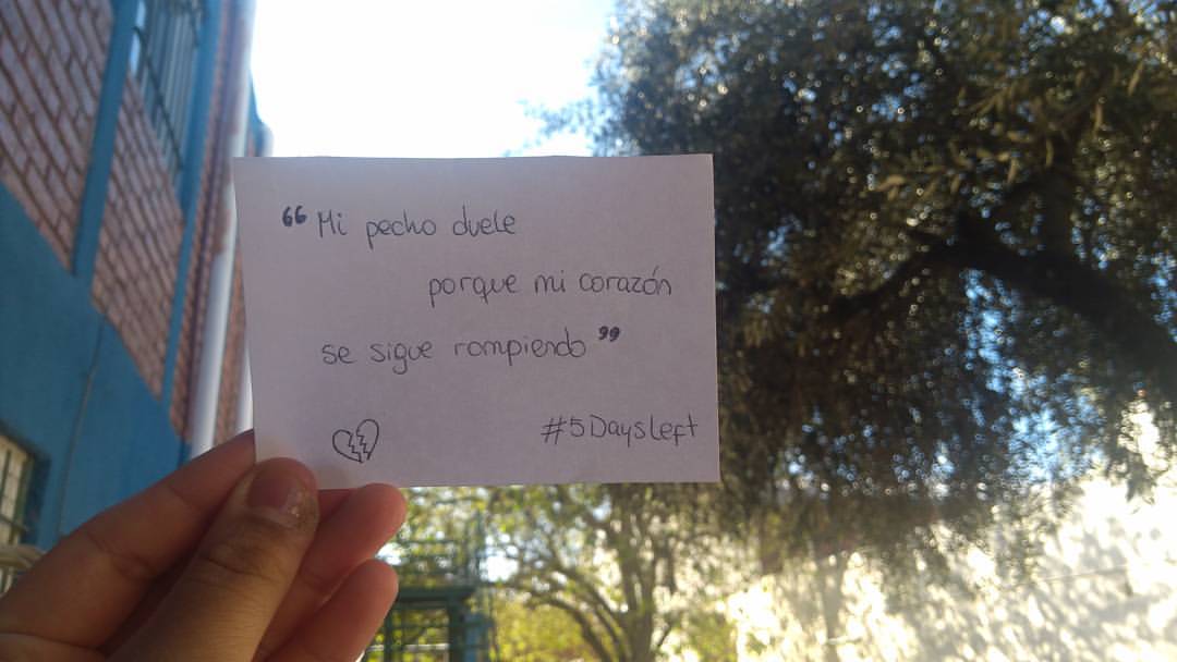 The5SOSMafia's tweet photo. (cuando faltaban tres días, yo estaba terminando mis valijas para viajar. Esas remeras que hay en esa foto son las que mandamos a hacer a la empresa de una amiga para varias mafiosas y yo llevé a Buenos Aires)
#GoodbyeSGFG #GoodbyeSanFrancisco #GoodbyeVapor #Team5SOS https://t.co/MtbrFSt5Kn