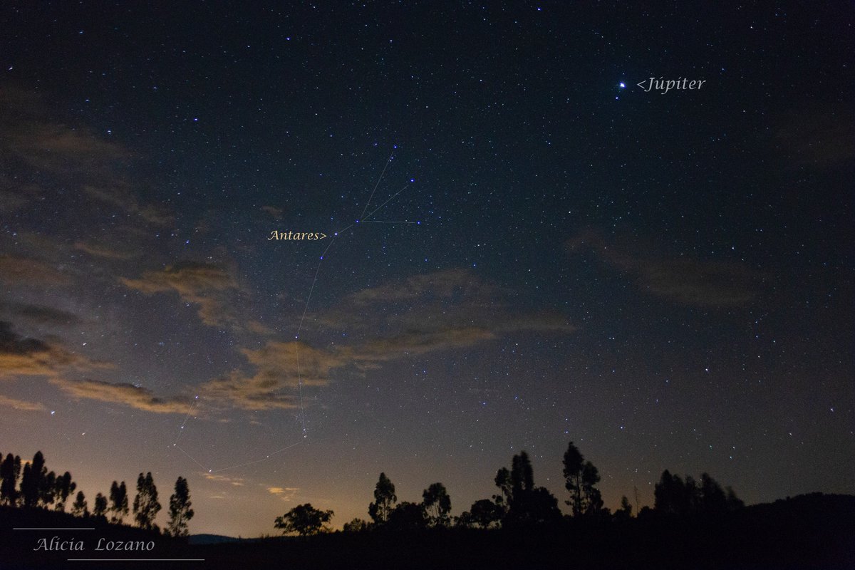 alipegaso's tweet photo. Scorpio dominando el cielo preveraniego (aunque no lo parezca) y sin perder de vista al gigante y su escolta.
#astronomy #astrophoto #sierranortedesevilla #protegetucielo #cielosesa https://t.co/hyDrqOxXFf