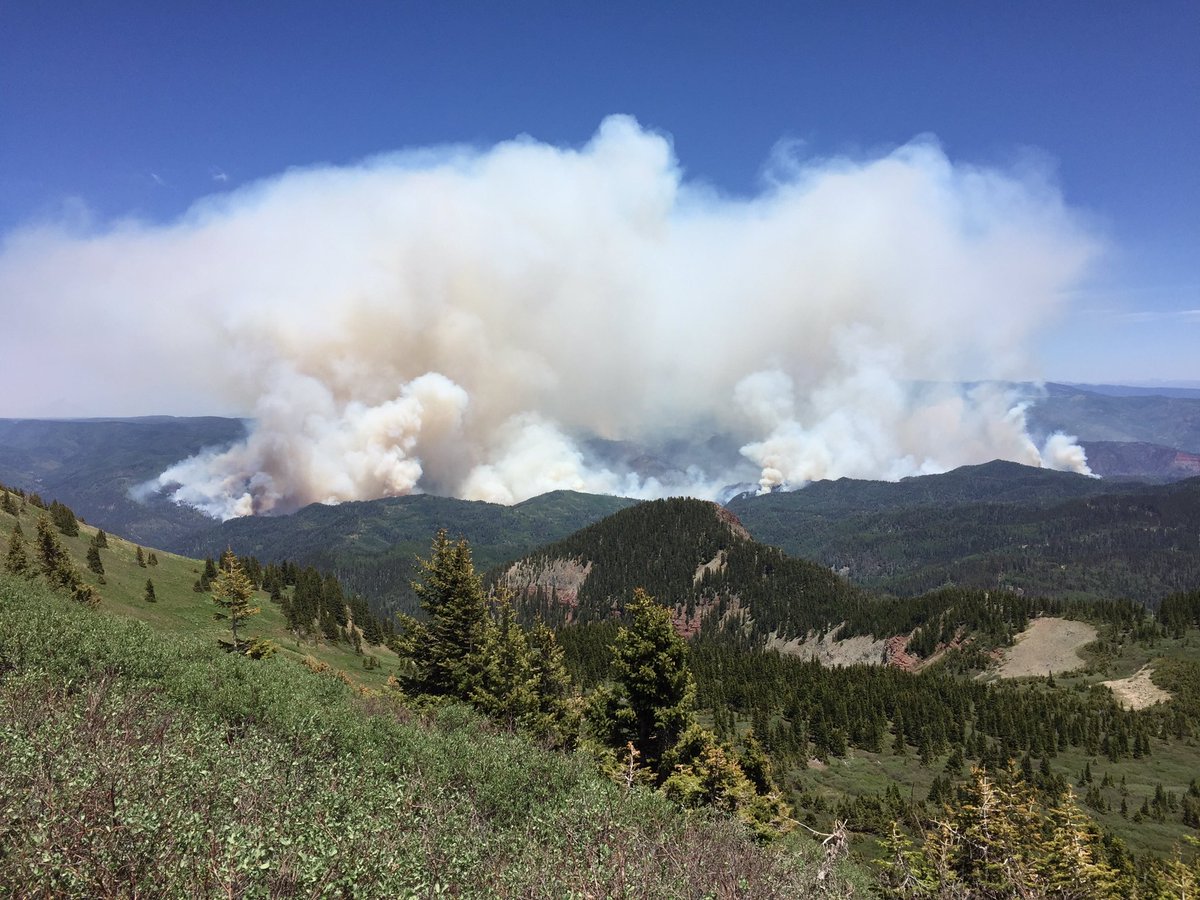 travis brown tweet media