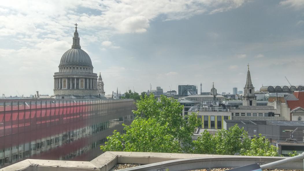 AndersHanson's tweet photo. Felt inspired by @ESgloballaw's 8th floor roof garden at its London HQ thanks to #OGSW2018 with a green roof, fruit, vegetable and herb gardens and its beehives. Plus some great views. Really glad I had the chance to see it https://t.co/JdSE3AsfJc https://t.co/00xMYhNs66