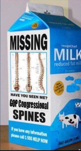 marilee313's tweet photo. @cheeseheadlucy @TheRickWilson #GOP #MissingSpine #Treason https://t.co/YxCJt4w4jO