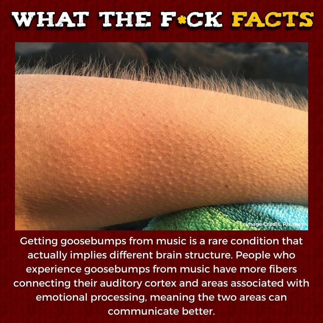 WhatTheFFacts's tweet photo. https://t.co/PLUA3LLyAf
