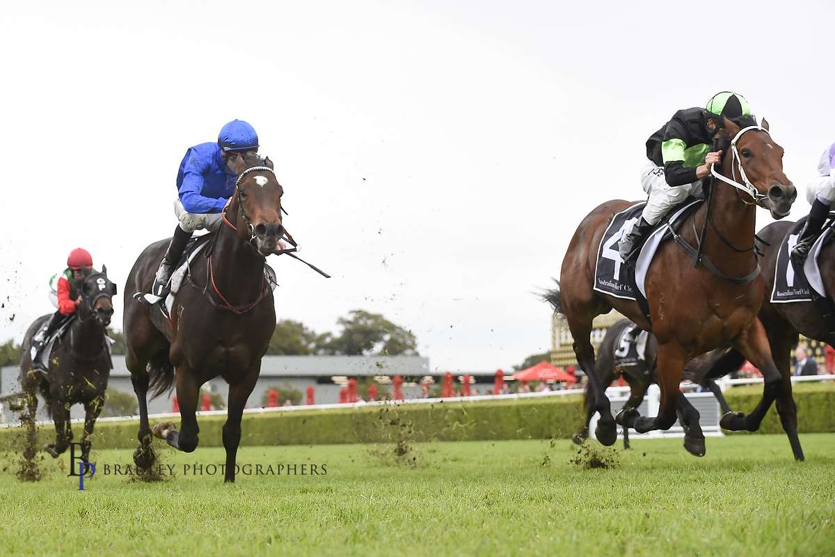PrideRacing's tweet photo. Pride Racing would like to congratulate @ProvenTbreds owners and connections on the win of their tough filly #BROOKMAGIC at @royalrandwick on Saturday. Read more about the race including post race comments from @jeanvovermeire over on our website https://t.co/V8eQ12MXik https://t.co/cr6bdW9lPO