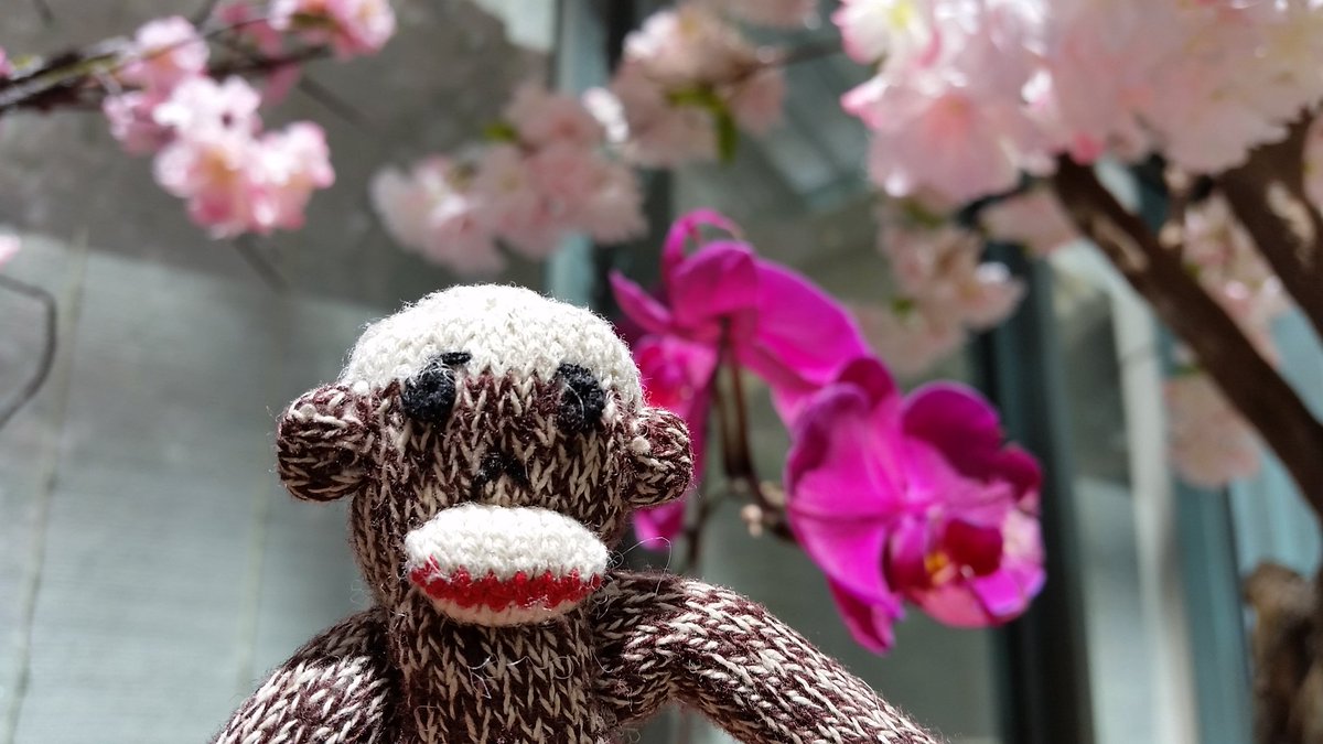 TravelMonk2's tweet image. Remember #thatonetime I stopped to smell the flowers?
#bestdayever with #bestfriends