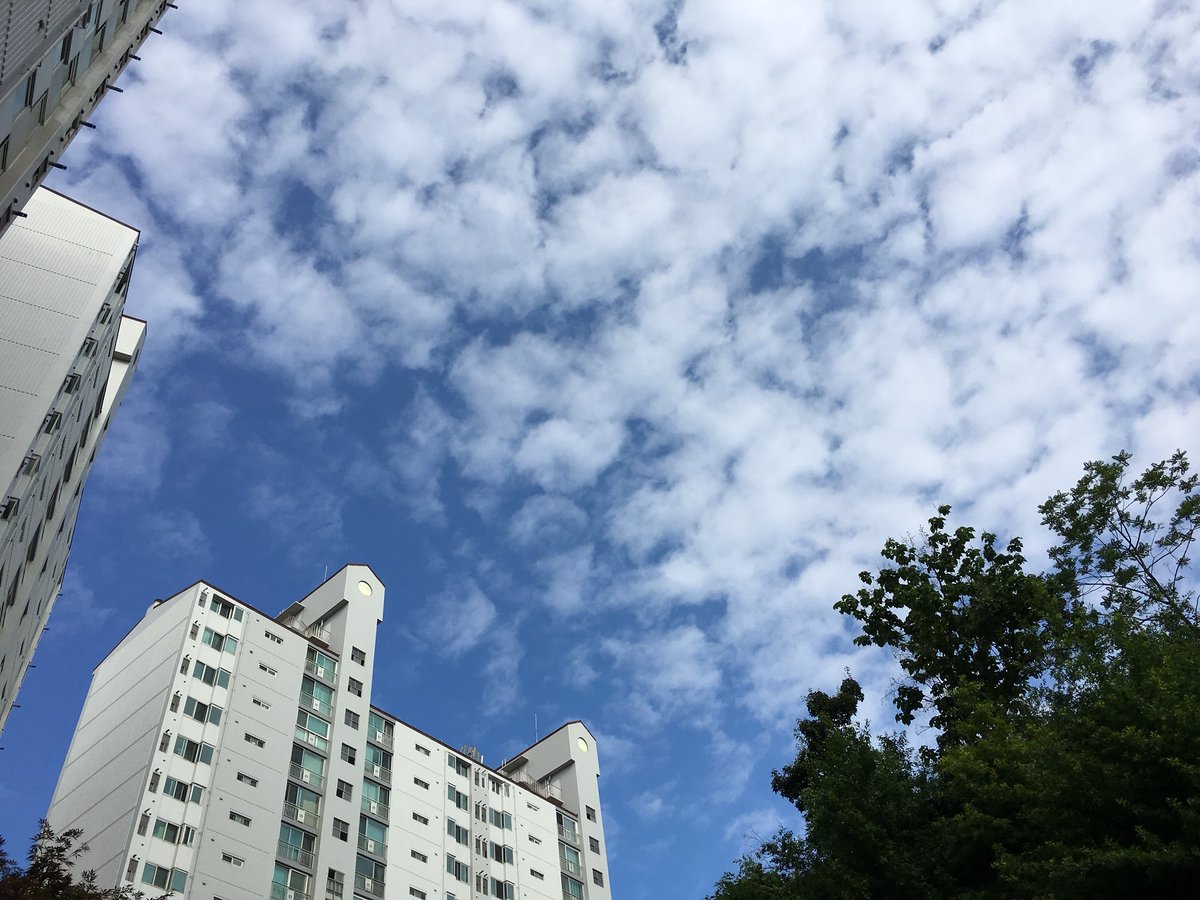walking_daddy's tweet photo. 출근하늘 https://t.co/R6sl9KUsZf