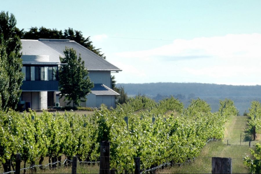 HuonHooke's tweet photo. #WinerySpotlight @CrawfordRiver is officially in the Henty region, but there are no other vineyards anywhere nearby and Seppelt’s Drumborg, the region’s other famous vineyard, is 25km away. @therealrvw https://t.co/sPmQ6ukmFI https://t.co/YhQftD6wwh