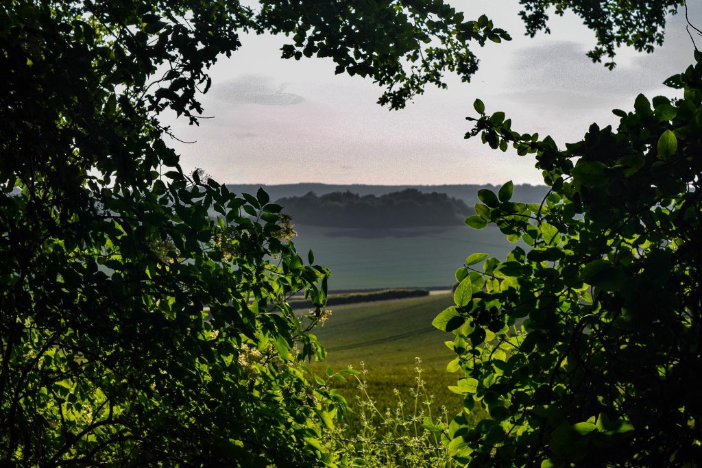 CanterburyGhost's tweet photo. #Green and #Red #Sunset #CharthamDowns @VisitKent @VisitCanterbury @VisitEngland #LestWeForget @PaulBabra @bbcweather @bbcsoutheast @DominicKingBBC @RosieDuffield1 @deelouisexo @SimonJonesNews @kentpoliceroads @Kent_999s @POferriesupdate @Alina_Ristea https://t.co/klitvETd8i