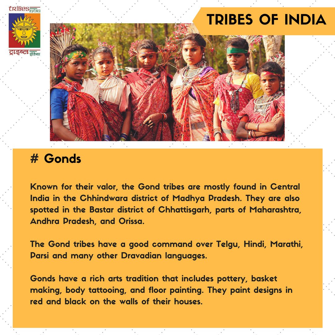 tribesindiaraj's tweet image. The Gondi or #Gond people are Adivasi who speak Dravidian language, spread over the states of Madhya Pradesh, eastern Maharashtra, Chhattisgarh, Uttar Pradesh, Telangana, Andhra Pradesh, #Bihar and Western Odisha

#instalearn #didyouknow #tribesofindia #instaculture #traditions