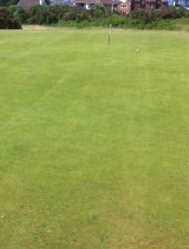 PHILMDAVIS's tweet photo. @PandKGC Megan Davis played her first black &amp; white comp yesterday and managed to birdie the 4th with this lovely shot https://t.co/d5YsSeR4Yo