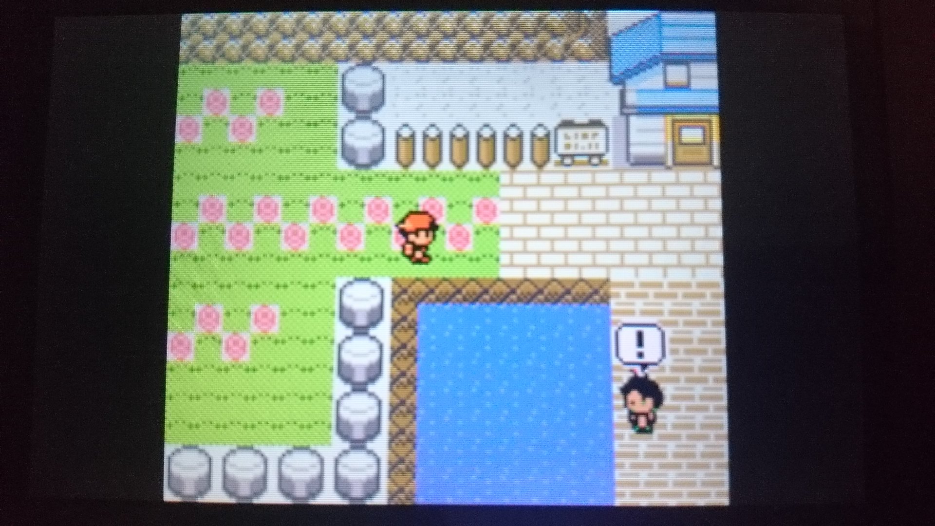 تويتر センジ على تويتر カスミのデートとオジャマムシ ポケモン金銀 T Co Viold5w4ft