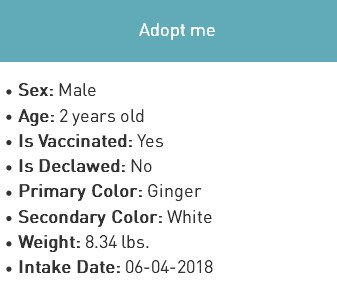 MIPooh's tweet photo. A Nice #Kitty Deserves A Nice Home
This Is Vince In #NewYorkCity --- He's A Nice Kitty
   So
Why U Waitin'??

Give'm A Nice Home
#Adopt At #NYCACC #Brooklyn

https://t.co/H3GIme4zJF

#NYC #cats
#Pets https://t.co/jMZY9x1d1N