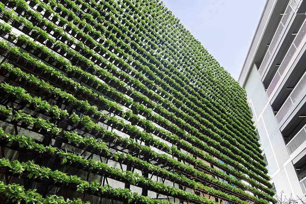 Vertical farm in Singapore, produces 100 Kg of vegetables per tower. System produces 10 times more food per hectare than conventional farm, uses very little energy or water, is relatively maintenance-free and produces green vegetables in 28 days or less

pictet.ft.com/farming-in-the…