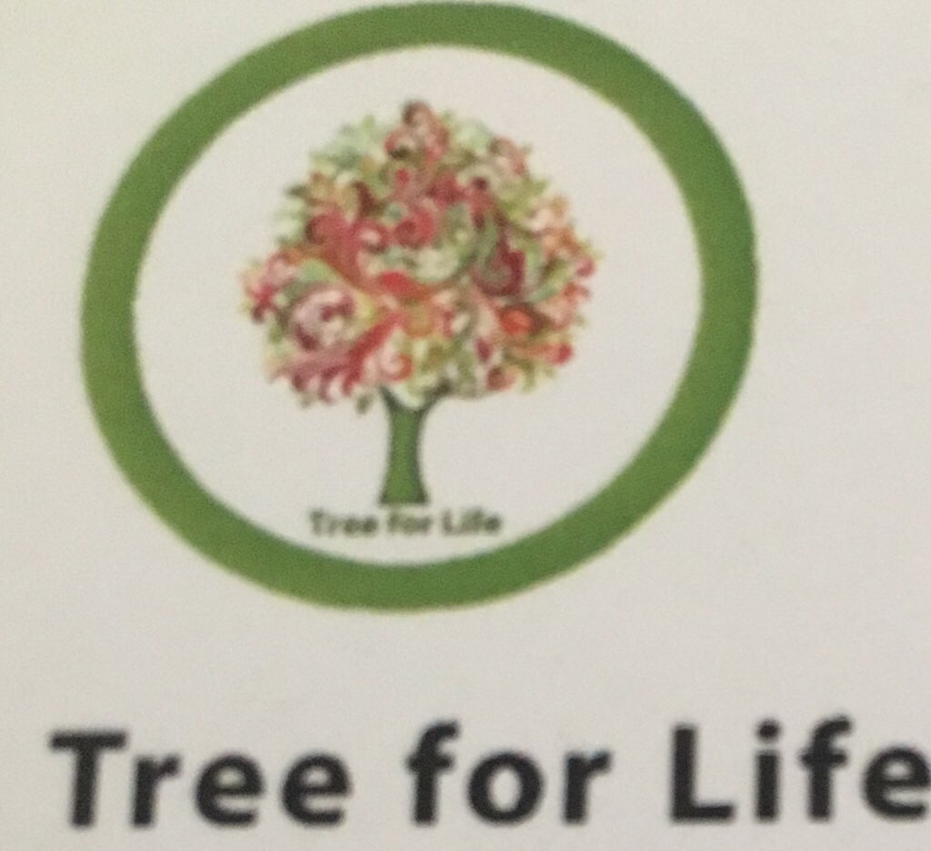 kavitaashok1969's tweet photo. THROW it anywhere Starbuck’s green move #plasticpollution #ewaste #recycle #publicawareness #BeatPlasticPollution #consumerlive2018 #Producers #industrialwaste #kavitaashok #TreeforLife #naturelovers#UNenvironment #WeDontHaveTime #greenpeace #pauldawson #starbucks #swachbharat https://t.co/fN6z5vpCqA