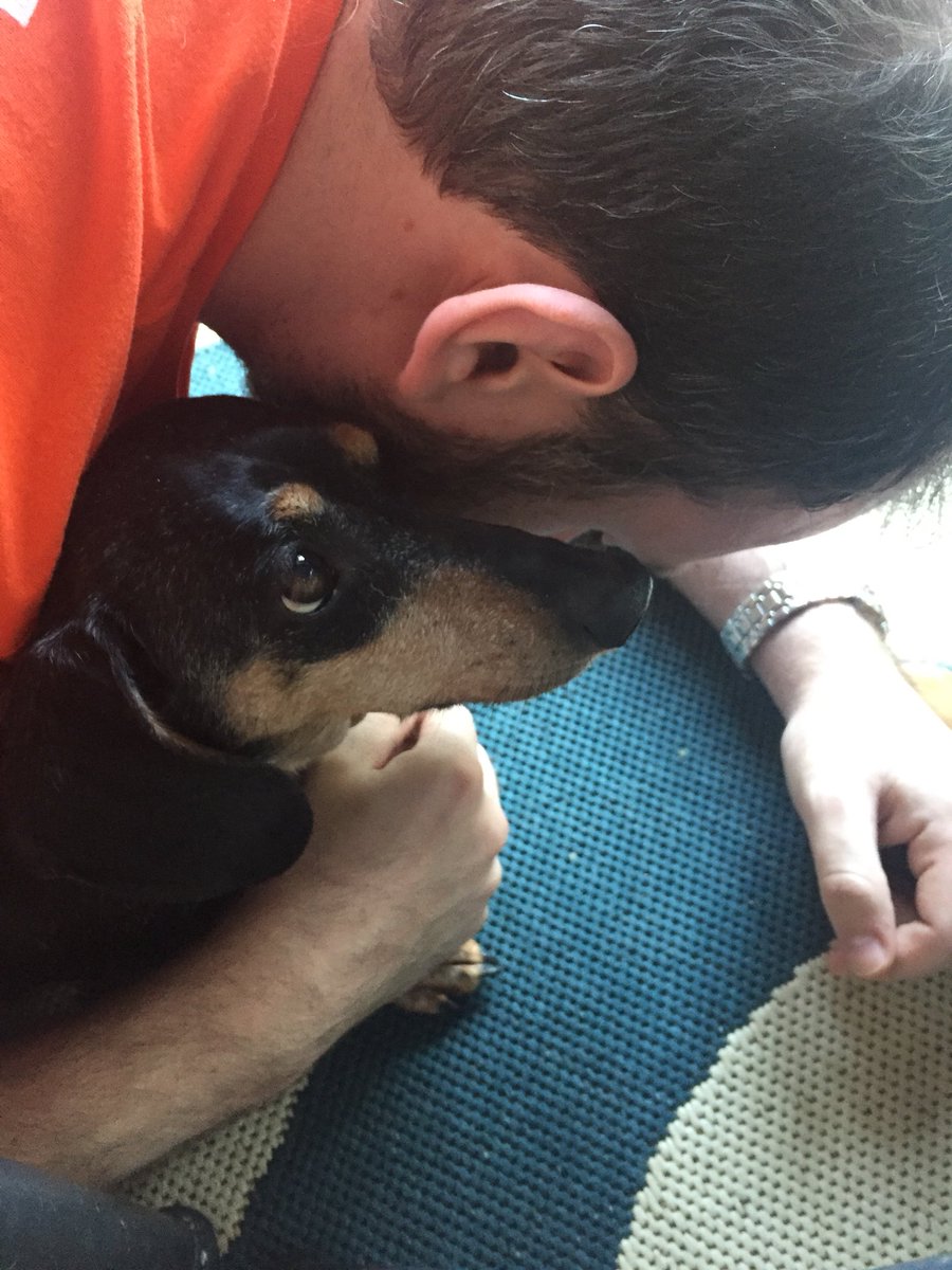 Molly Barnes tweet media