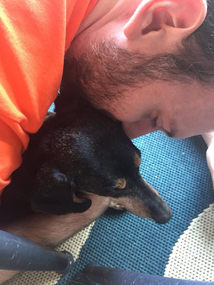 Molly Barnes tweet media