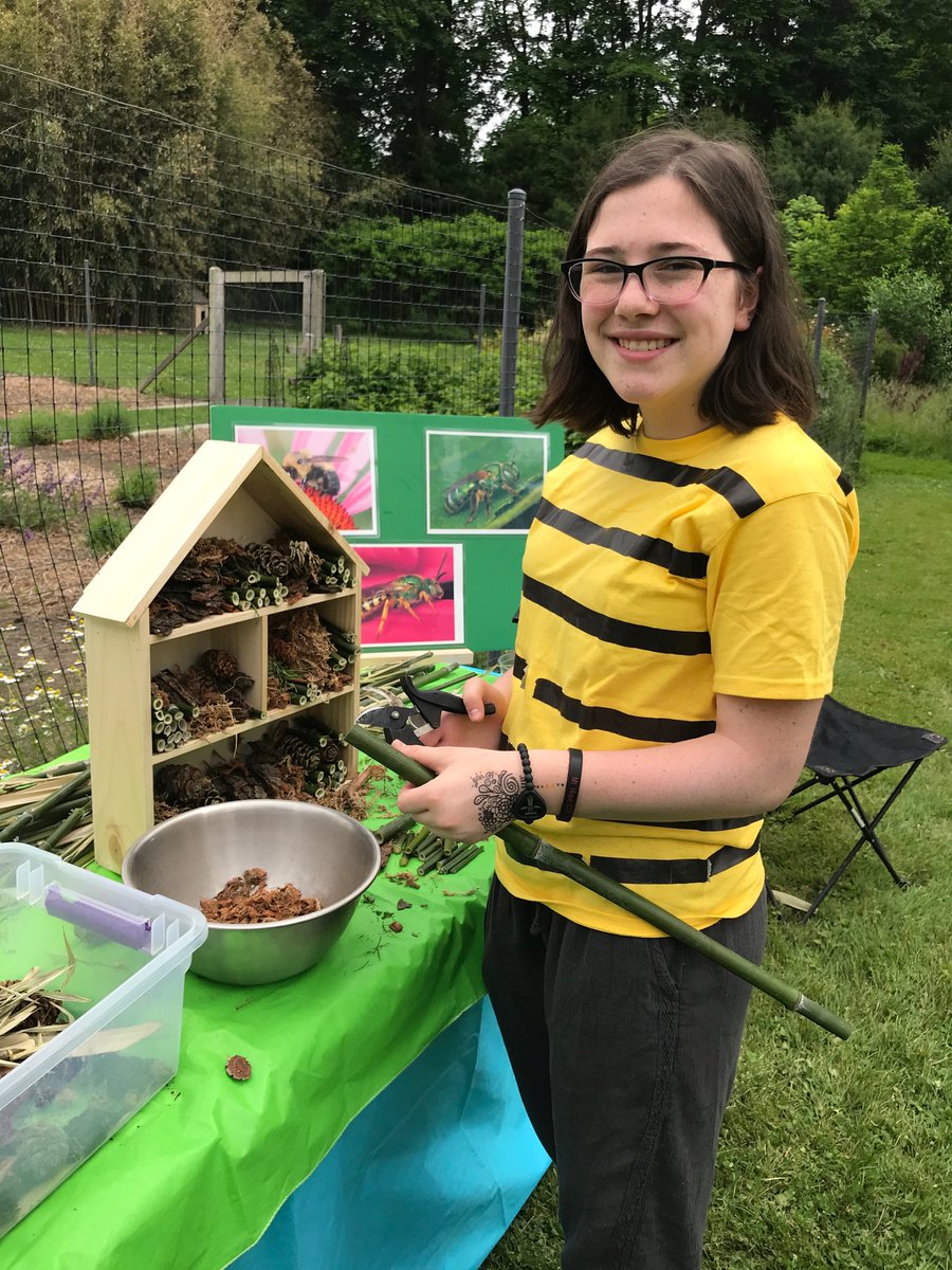 ScienceKMS's tweet image. Check out Fay in her bee shirt! Fay taught the bee waggle dance and helped kids build our insect home for mason bees and ladybugs at Blithwold today! ⁦@Principal_Homen⁩
