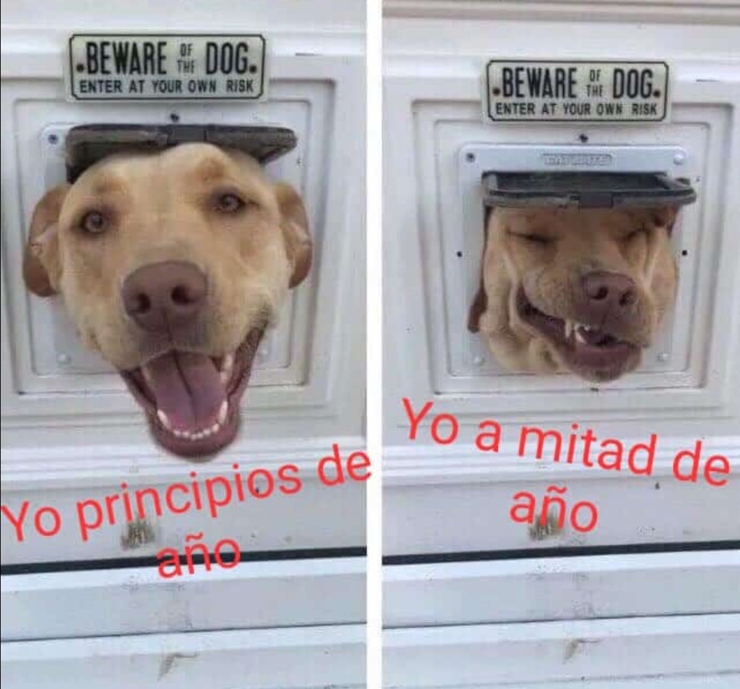 CuliDiosa's tweet photo. Yo en el colegio, en el amor, en el dinero, en la vida, en todo https://t.co/5U9zgTUHU3