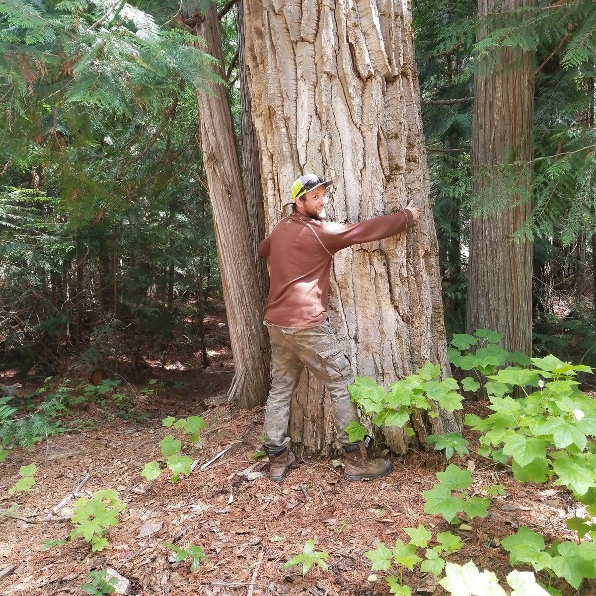 #jeeplife #JEEP <a href="/THEJeepMafia/">The Jeep Mafia</a> <a href="/sherwoodfores/">Sherwood Forest</a>