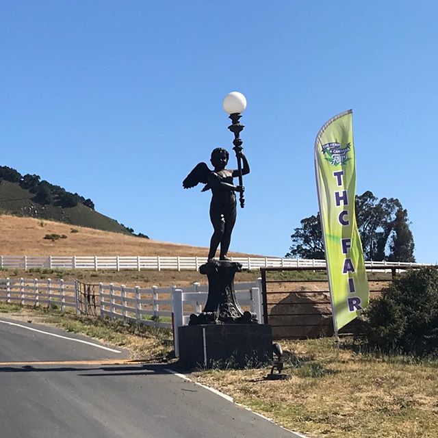thcfair's tweet photo. Thank you #slocounty for an incredible weekend! We love our new #sanluisobispo family and can’t wait to don’t again! #celebrate #cannabis #hemp #cannabiscommunity #caligrown #legalweed #caliweed #thcfair #thcfairfamily https://t.co/TnmkZbWXiD https://t.co/mbnzIVjUEv
